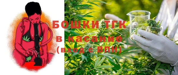 прущая мука Инта